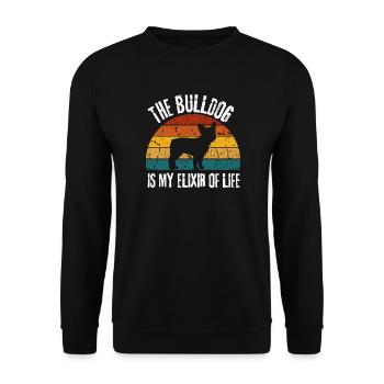 Lustiges Hunde Geschenk Retro Bulldogge - Unisex Pullover - Schwarz - Vorne - Alina (178cm) & Michal (187cm)