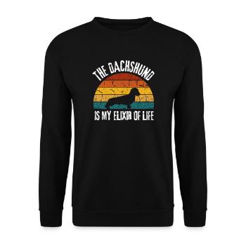 Hunde Geschenk Hundebesitzer Lustiges Retro Dackel - Unisex Pullover - Schwarz - Vorne - Alina (178cm) & Michal (187cm)