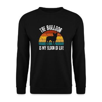 Lustiges Geschenk Hund Haustier Retro Bulldoggen - Unisex Pullover - Schwarz - Vorne - Alina (178cm) & Michal (187cm)