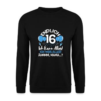 Endlich 16 Ich Kann Alles Ich Weiß Alles - Unisex Pullover - Schwarz - Vorne - Alina (178cm) & Michal (187cm)