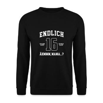 Endlich 16 Ich Kann Alles Ich Weiß Alles - Unisex Pullover - Schwarz - Vorne - Alina (178cm) & Michal (187cm)
