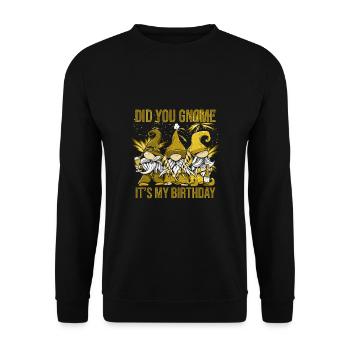 Did You Gnome It's My Birthday - Unisex Pullover - Schwarz - Vorne - Alina (178cm) & Michal (187cm)