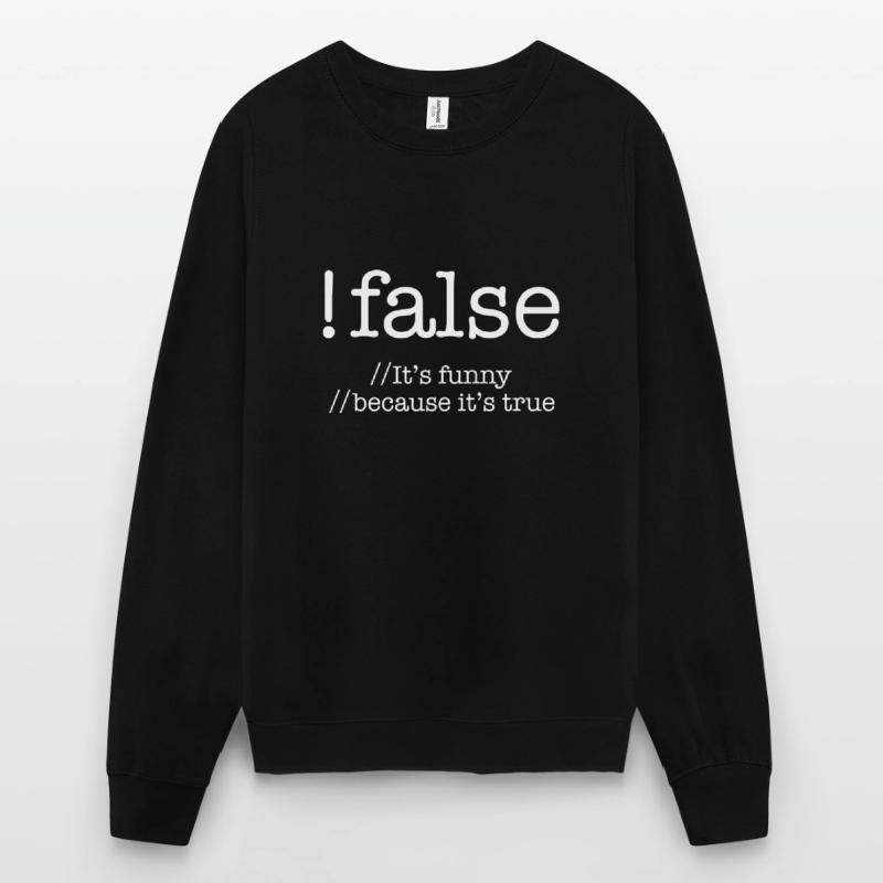 Falsche Programmierung Codierung Programmierer Geschenk Unisex Pullover