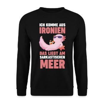 Ich Komme Aus Ironien Das Liegt Am Sarkastischen M - Unisex Pullover - Schwarz - Vorne - Alina (178cm) & Michal (187cm)