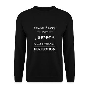 Frôler la perfection, belge ! cadeau belge humour - Sweat-shirt Unisexe - noir - Devant - Alina (178cm) & Michal (187cm)