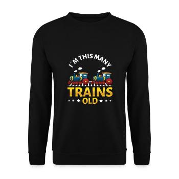 2ème anniversaire, 2 ans trains! Enfants, Boy Boy Train - Sweat-shirt Unisexe - noir - Devant - Alina (178cm) & Michal (187cm)
