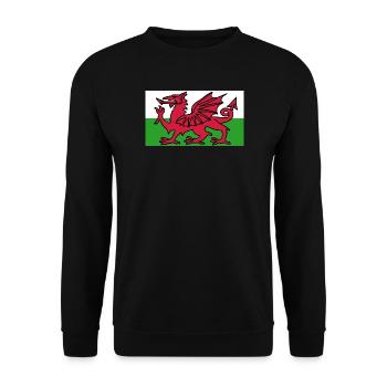 Welsh Flag - Flag of Wales - Unisex Sweatshirt - black - Front - Alina (178cm) & Michal (187cm)