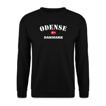 Odense Danmark - Unisex Sweatshirt - black - Front - Alina (178cm) & Michal (187cm)