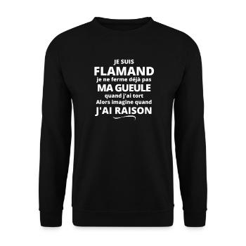 Belgique, flamand, je suis Flamand - Sweat-shirt Unisexe - noir - Devant - Alina (178cm) & Michal (187cm)