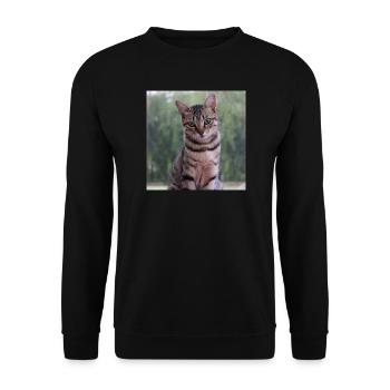 Katze Kätzchen Poster quadratisch Katzenposter - Unisex Pullover - Schwarz - Vorne - Alina (178cm) & Michal (187cm)