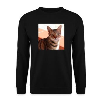 Katze Kätzchen Poster quadratisch Katzenposter - Unisex Pullover - Schwarz - Vorne - Alina (178cm) & Michal (187cm)