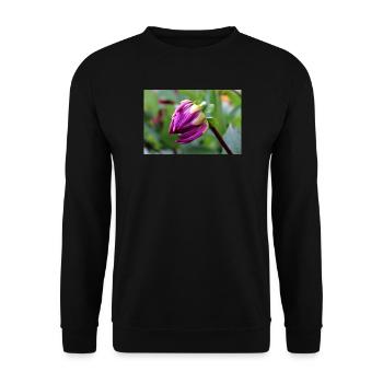 Dahlia Red Violet Blossom ,Flower - Unisex Sweatshirt - black - Front - Alina (178cm) & Michal (187cm)