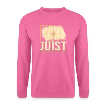 Juist Koordinaten - Unisex Pullover - Pink - Vorne