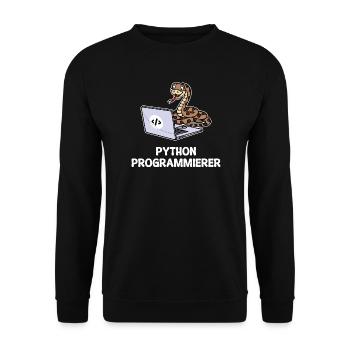 Développeur Coden Statement Programmeur informatique - Sweat-shirt Unisexe - noir - Devant - Alina (178cm) & Michal (187cm)