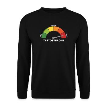 Testosteron Kraftsport Gym Pumper Low Cortisol JGA - Unisex Pullover - Schwarz - Vorne - Alina (178cm) & Michal (187cm)