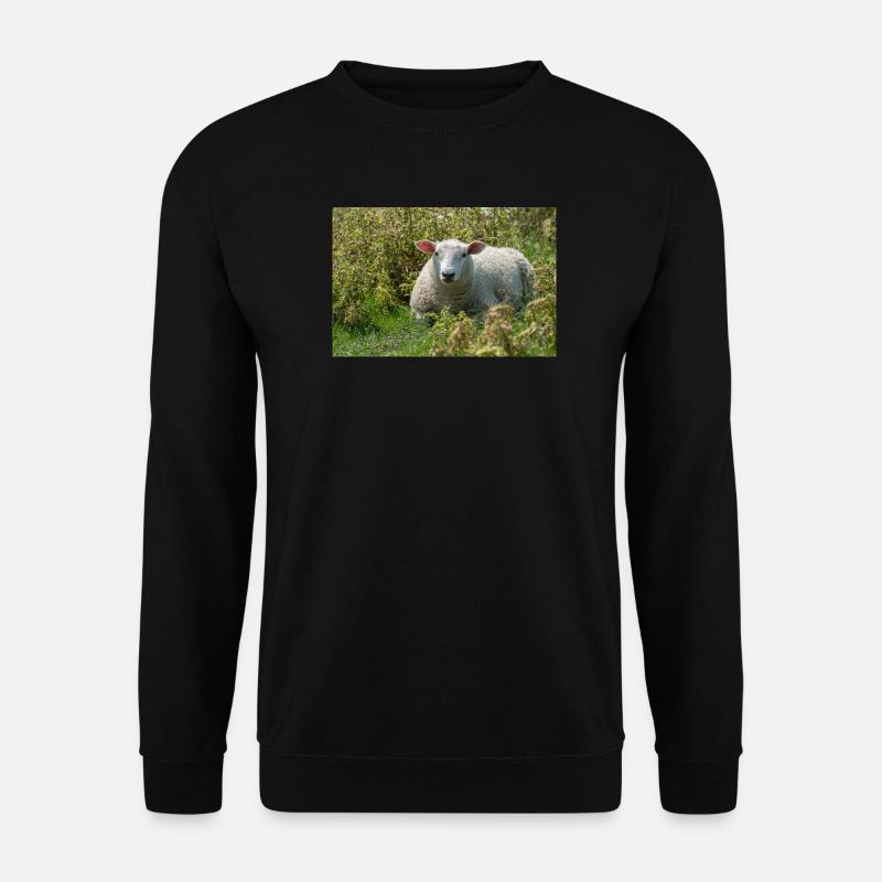 Moutons allongés dans l’herbe - Affiche - Sweat-shirt Unisexe - noir