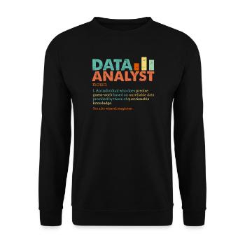 Data Analyst Retro Color Blocks - Unisex Sweatshirt - black - Front - Alina (178cm) & Michal (187cm)
