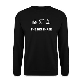 The Big Three: Atom Pi Flask - Unisex Sweatshirt - black - Front - Alina (178cm) & Michal (187cm)