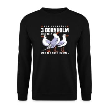Vor 3 Bornholm Urlauben... - Unisex Pullover - Schwarz - Vorne - Alina (178cm) & Michal (187cm)