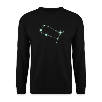 Zwilling, Sternbild, Tierkreiszeichen Grün - Unisex Pullover - Schwarz - Vorne - Alina (178cm) & Michal (187cm)