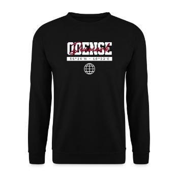 Odense Dänemark Koordinaten Reise Souvenir - Unisex Pullover - Schwarz - Vorne - Alina (178cm) & Michal (187cm)