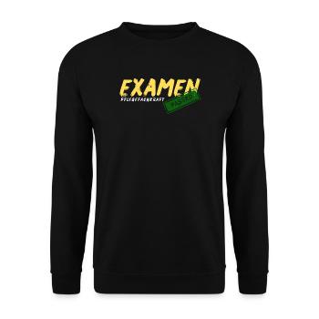 Examen Pflegefachkraft - Unisex Pullover - Schwarz - Vorne - Alina (178cm) & Michal (187cm)