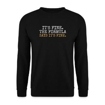 Es ist in Ordnung. Die Formel sagt, es ist in Ordnung. - Unisex Pullover - Schwarz - Vorne - Alina (178cm) & Michal (187cm)