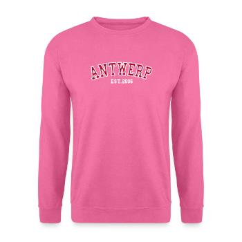 Antwerpen gegründet 2006 - Unisex Pullover - Pink - Vorne