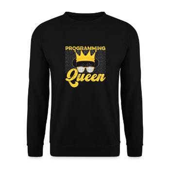 Programmer Coder Software Developer - Unisex Sweatshirt - black - Front - Alina (178cm) & Michal (187cm)
