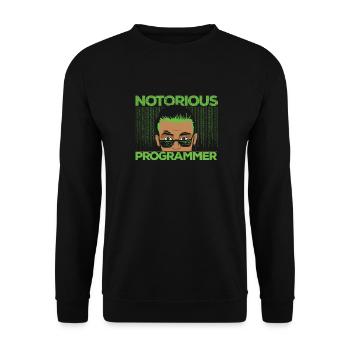 Programmierer Coder Software Entwickler - Unisex Pullover - Schwarz - Vorne - Alina (178cm) & Michal (187cm)