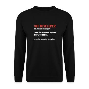 Web Entwickler Webdeveloper Definition - Unisex Pullover - Schwarz - Vorne - Alina (178cm) & Michal (187cm)