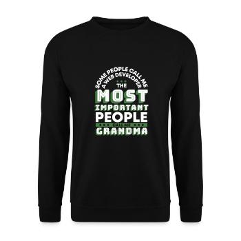 Web Entwickler Webdeveloper Oma - Unisex Pullover - Schwarz - Vorne - Alina (178cm) & Michal (187cm)