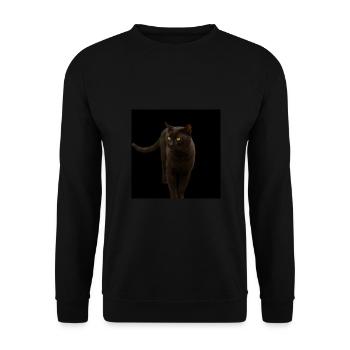 schwarze Katze Kätzchen Katze - Unisex Pullover - Schwarz - Vorne - Alina (178cm) & Michal (187cm)