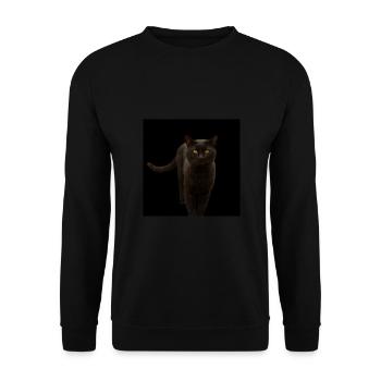 schwarze Katze Kätzchen Katze - Unisex Pullover - Schwarz - Vorne - Alina (178cm) & Michal (187cm)