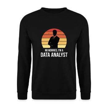 Pas de soucis Je suis un analyste de données - Sweat-shirt Unisexe - noir - Devant - Alina (178cm) & Michal (187cm)