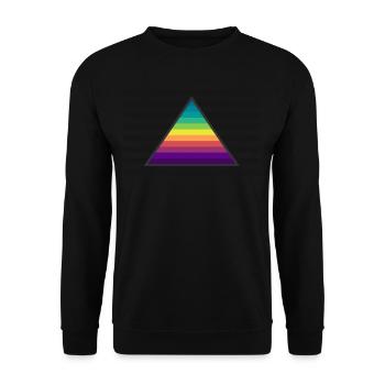 triangle coloré à rayures grises - Sweat-shirt Unisexe - noir - Devant - Alina (178cm) & Michal (187cm)