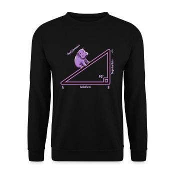 Hyppotenuse Hypotenuse Triangle Mathe Nerd Humour - Sweat-shirt Unisexe - noir - Devant - Alina (178cm) & Michal (187cm)