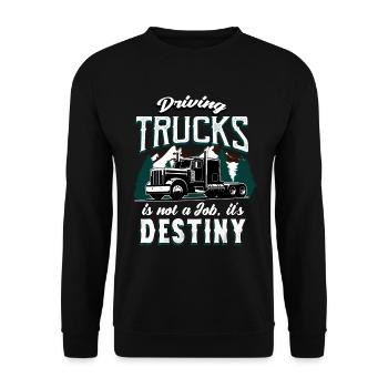 Truck drivers Driving trucks is fate - Unisex Sweatshirt - black - Front - Alina (178cm) & Michal (187cm)
