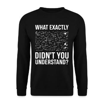 Was hast du Nicht verstanden Physik - Unisex Pullover - Schwarz - Vorne - Alina (178cm) & Michal (187cm)