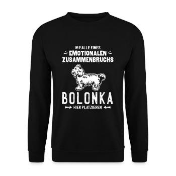 Bolonka Hier Platzieren - Bolonka Hunde Geschenk - Unisex Pullover - Schwarz - Vorne - Alina (178cm) & Michal (187cm)