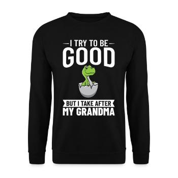 Dinosaurier Oma Saurus Omasaurus Großmutter - Unisex Pullover - Schwarz - Vorne - Alina (178cm) & Michal (187cm)