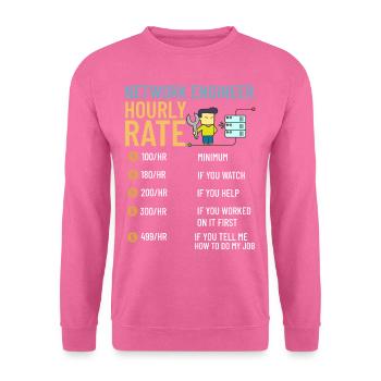Netzwerkingenieur Network Engineer Computer - Unisex Sweatshirt - pink - Front