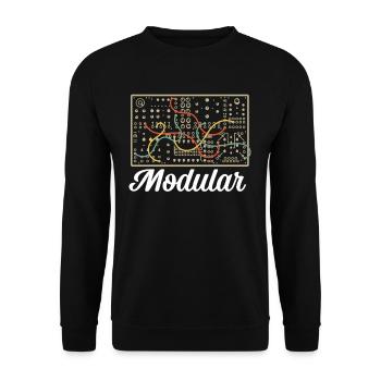 Modular Electronic Musical Synthesizer - Unisex Pullover - Schwarz - Vorne - Alina (178cm) & Michal (187cm)