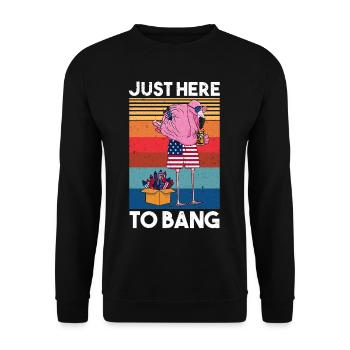 Juste ici pour frapper les feux d’artifice Flamingo America Beer - Sweat-shirt Unisexe - noir - Devant - Alina (178cm) & Michal (187cm)
