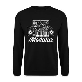 Modular Electronic Musical Synthesizer - Unisex Pullover - Schwarz - Vorne - Alina (178cm) & Michal (187cm)