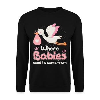 Where Babies Used To Come From Stork - Unisex Pullover - Schwarz - Vorne - Alina (178cm) & Michal (187cm)