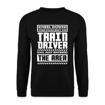 Zugfahrer Zug Züge Hobby - Unisex Pullover - Schwarz - Vorne - Alina (178cm) & Michal (187cm)