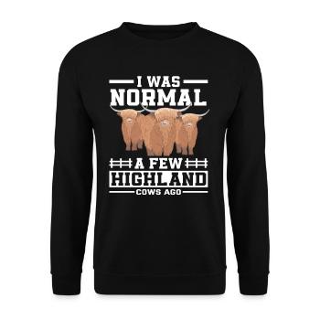 Ich War Normal Vor Einigen Hochlandkühen - Unisex Pullover - Schwarz - Vorne - Alina (178cm) & Michal (187cm)