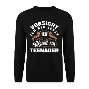 Vorsicht Ich Bin Jetzt 13. Geburtstag Teenager - Unisex Pullover - Schwarz - Vorne - Alina (178cm) & Michal (187cm)