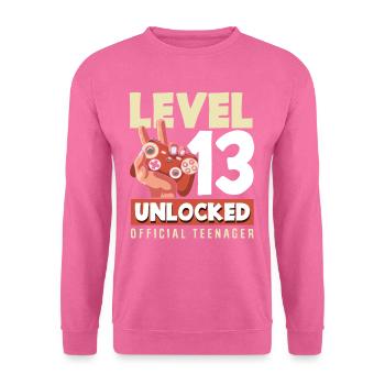 Level 13 Freigeschaltet 13. Geburtstag - Unisex Pullover - Pink - Vorne